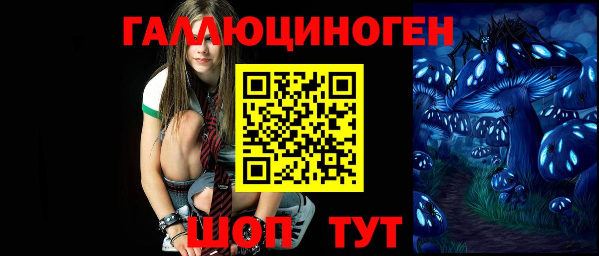 Прохладный  Галлюциногенные грибы GOLDEN TEACHER  наркошоп  Вход с VPN 